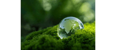 ISO 14001 Yenilendi (2026)