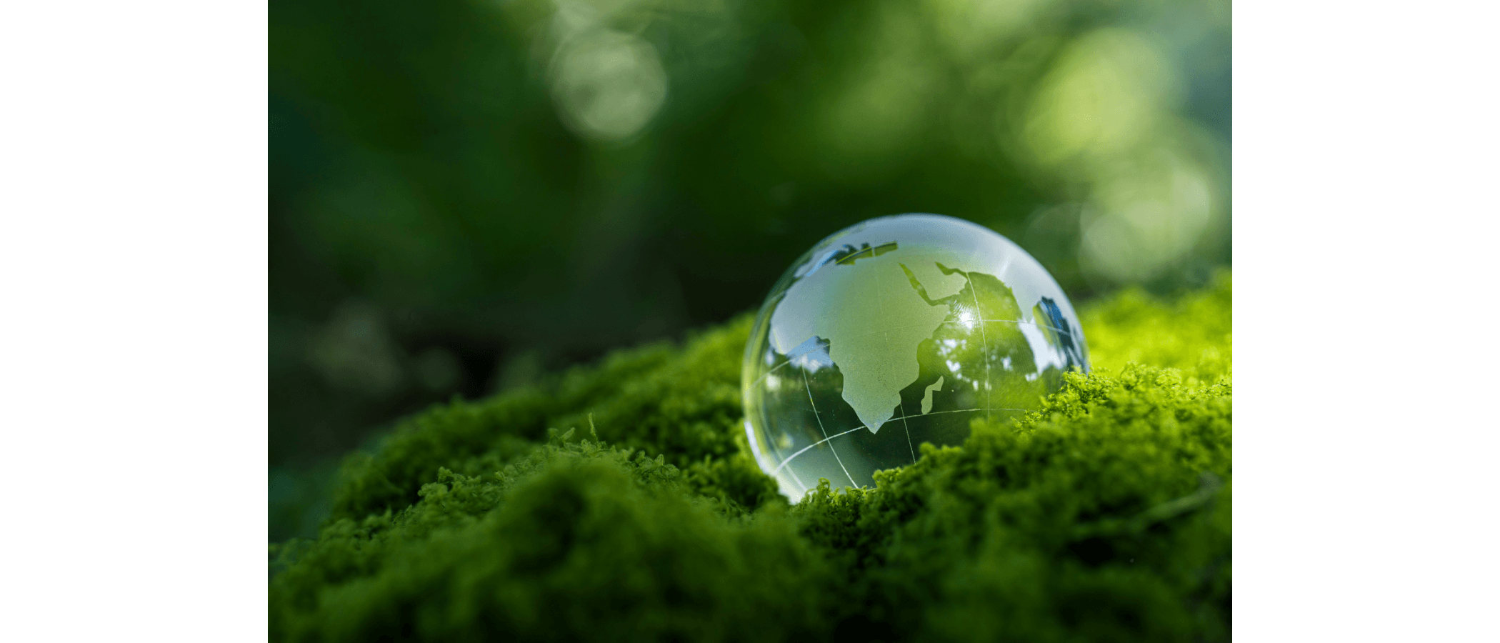 ISO 14001 YENİLENDİ